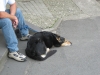 walk06032