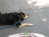 walk06065